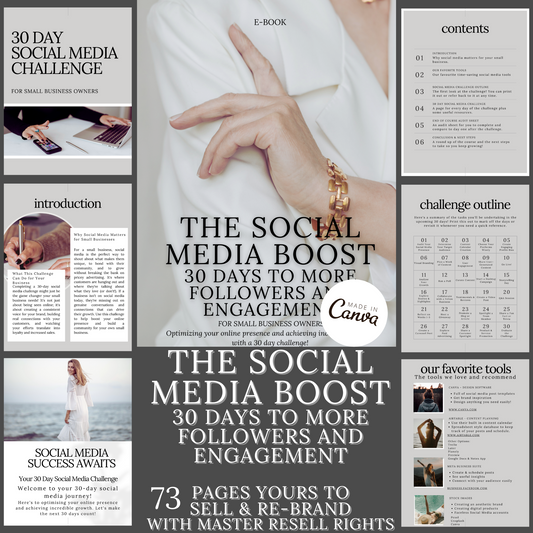 The Social Media Boost 30 Day Challenge EBOOK Guide and Workbook